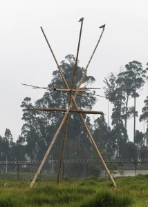 La Comunidad de la Pala, 2024