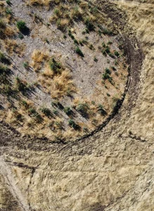 Foto aérea - El jardín del siglo XXI