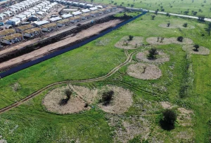 Foto aérea - El jardín del siglo XXI