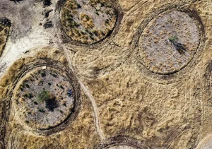 Foto aérea - El jardín del siglo XXI
