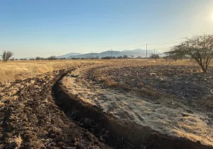 Foto aérea - El jardín del siglo XXI