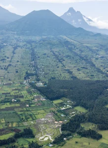 El Campus Ellen DeGeneres del Fondo Dian Fossey para los Gorilas - MASS