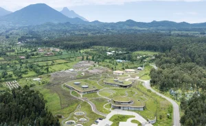 El Campus Ellen DeGeneres del Fondo Dian Fossey para los Gorilas - MASS