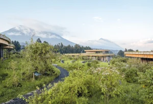 El Campus Ellen DeGeneres del Fondo Dian Fossey para los Gorilas - MASS