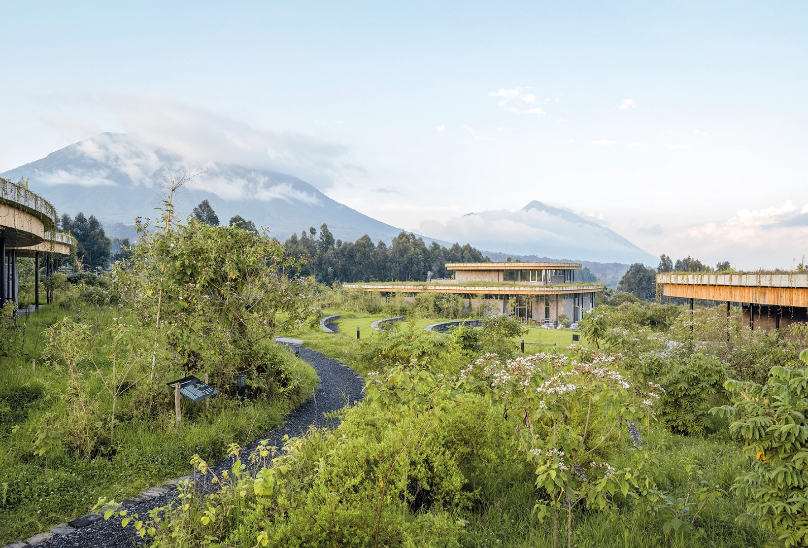 El Campus Ellen DeGeneres del Fondo Dian Fossey para los Gorilas