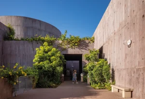 Imagen exterior - Tatiana Bilbao Estudio