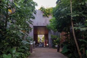 Imagen exterior - Tatiana Bilbao Estudio